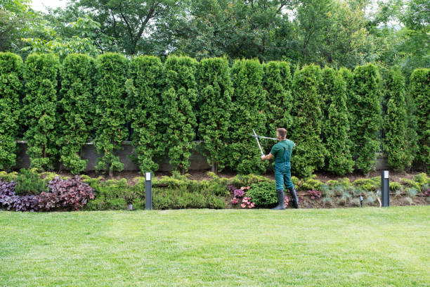 Landscape Design and Installation in Woodway, WA